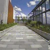 AirVexa